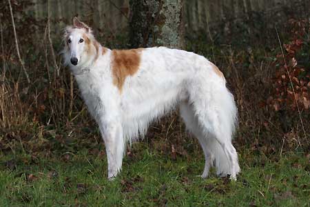rjaska